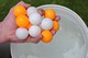 Set of Pictures for sale - world record for most table tennis balls held underwater - pic 3