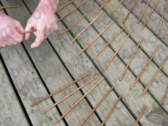 Laying Out Chopsticks for the World Record - Most Chopsticks snapped in 30 seconds